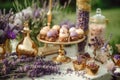 Dessert buffet table, food catering for wedding, party holiday celebration, lavender decor, cakes and desserts in a country garden Royalty Free Stock Photo