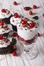 Dessert cherry black forest and cupcakes close-up. Vertical Royalty Free Stock Photo