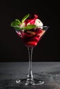 Dessert with Cherry Sauce, biscuits and mint in a martini glass on a grey table and black background Royalty Free Stock Photo