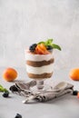 Dessert of chocolate biscuit, cream cheese garnished with fresh apricot on light table. Close up Royalty Free Stock Photo