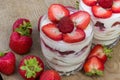 Dessert with cream and fresh strawberries Royalty Free Stock Photo