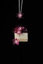 Dessert decorated with edible flowers. Vertical frame on a black background. with metal chopsticks
