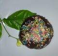 Dessert donut chocolate