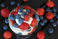 Yogurt dessert with fresh berries Royalty Free Stock Photo