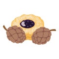 Dessert icon isometric vector. Homemade shortbread fruit cookie and cedar cone