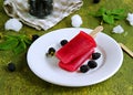 Dessert, portioned homemade ice cream or popsicles made from red currants and blackberries on a white plate against a green