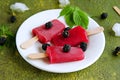 Dessert, portioned homemade ice cream or popsicles made from red currants and blackberries on a white plate against a green