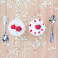 Dessert of raspberries, oats, cream Royalty Free Stock Photo