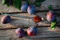 Dessert steel spoon with plum jam on an aged wooden background, fresh plums near Royalty Free Stock Photo
