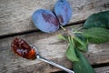Dessert steel spoon with plum jam on an aged wooden background, fresh plums near Royalty Free Stock Photo