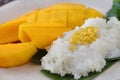 Dessert sweet sticky rice with mango coconut milk,Thai Food. Royalty Free Stock Photo