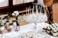 Dessert. Sweets. Cake on a stand painted with flowers at a wedding candy bar