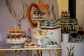 Dessert table for a party. Candy bar. Rich thematic wedding candy bar high variety of sweets Royalty Free Stock Photo