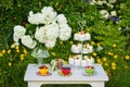 Dessert table in a garden Royalty Free Stock Photo