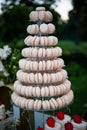 MACARONS. Dessert table for a party Candy bar. Rich thematic wedding candy bar, high variety of sweets