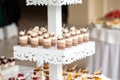 Dessert table for a party. Candy bar. Table with sweets, candies, dessert, luxury wedding catering