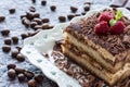 Dessert Tiramisu Cake with Grated Chocolate, Raspberry and Mint Royalty Free Stock Photo