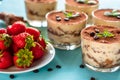 luxurious dessert Tiramisu in a glass on a blue background decorated with mint and strawberries Royalty Free Stock Photo