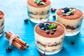 dessert tiramisu in glasses, decorated with blueberries and mint with coffee beans, the concept of delicious life Royalty Free Stock Photo