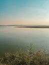 Dessert wild plants and nature | Spectacular Landscape View at Al Wathba Wetland Reserve in Abu Dhabi, UAE | coastal salt flat sa Royalty Free Stock Photo