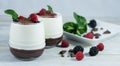 Dessert of yogurt with chocolate, red berries and mint