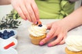 Desserts. Confectioner decorate cupcakes with cream cheese, close up. Confectioner decorating cupcake with blueberry Royalty Free Stock Photo