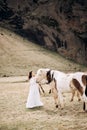 Destination Iceland wedding photo session with Icelandic horses. The bride strokes the mane of two horses. Cream and