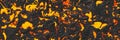 Destroy molten- nature pattern. Abstract lava textured