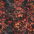 Destroy molten- nature pattern. Abstract textured