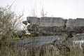 Destroyed and abadoned bunker from world war two