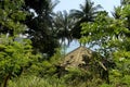 Destroyed beach house in thailand in the jungle with ocean view