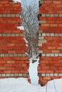 destroyed brick fence wall in winter