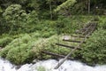 Destroyed bridge in a jungle