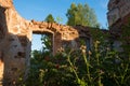 Old walls overgrown with grass Royalty Free Stock Photo