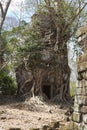 Destroyed covered with roots of trees temple Prasat Chrap in the Koh Ker temple complex, Siem Reap, Cambodia