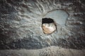 Destroyed facade of a building with a broken wall after a military shot