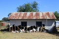 Destroyed farm house from a flood in New South Wales Australia Royalty Free Stock Photo