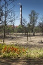 Destroyed forest area near a zinc and lead smelter Royalty Free Stock Photo