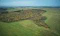 Destroyed forest after human action