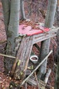 Destroyed old outhouse