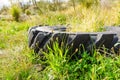 Destroyed rubber car tire on grass