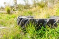 Destroyed rubber car tire on grass