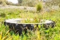 Destroyed rubber car tire on grass