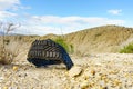 Destroyed rubber car tire on nature