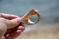 Destroyed spiral shell in female hand on background of the blue sea with white surf, wildlife Royalty Free Stock Photo