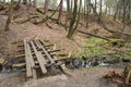 Destroyed wooden bridge over a stream in the forest.