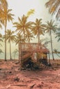 Destroyed wooden house on coastline with palm trees and beach ba