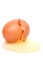 Destructed egg Royalty Free Stock Photo