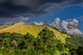 Destruction of the Atlantic Forest Royalty Free Stock Photo