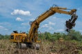 Destruction of forests with digger. Seizure of forest land for agriculture.